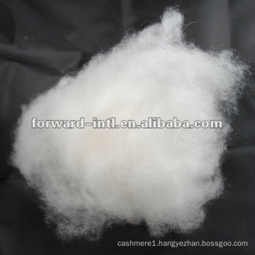 dehaired cashmere fibre in 15.5 micron / 36 38mm